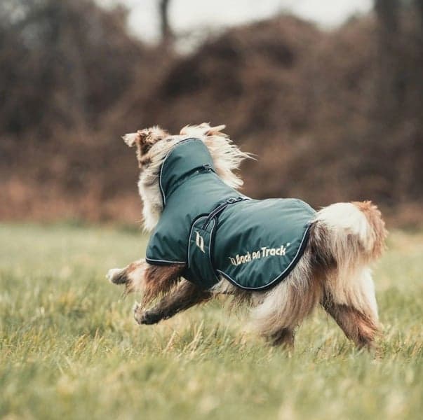 Hundtäcke Sunny Fodrat 25-35 cm Grön, view: 1