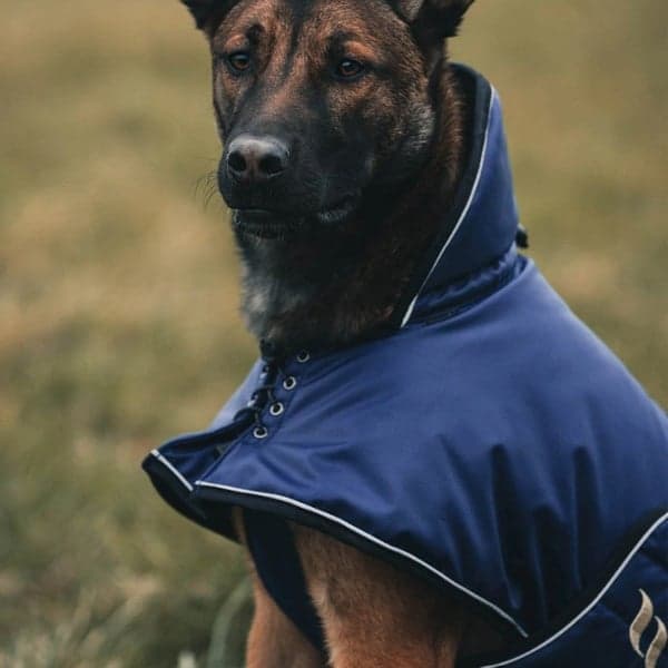 Hundtäcke Sunny Fodrat 55-65 cm Blå, view: 2