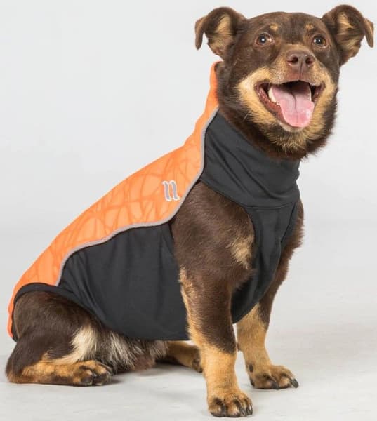 Hundtröja Eddie Småhundar 30-35 cm Orange, view: 2