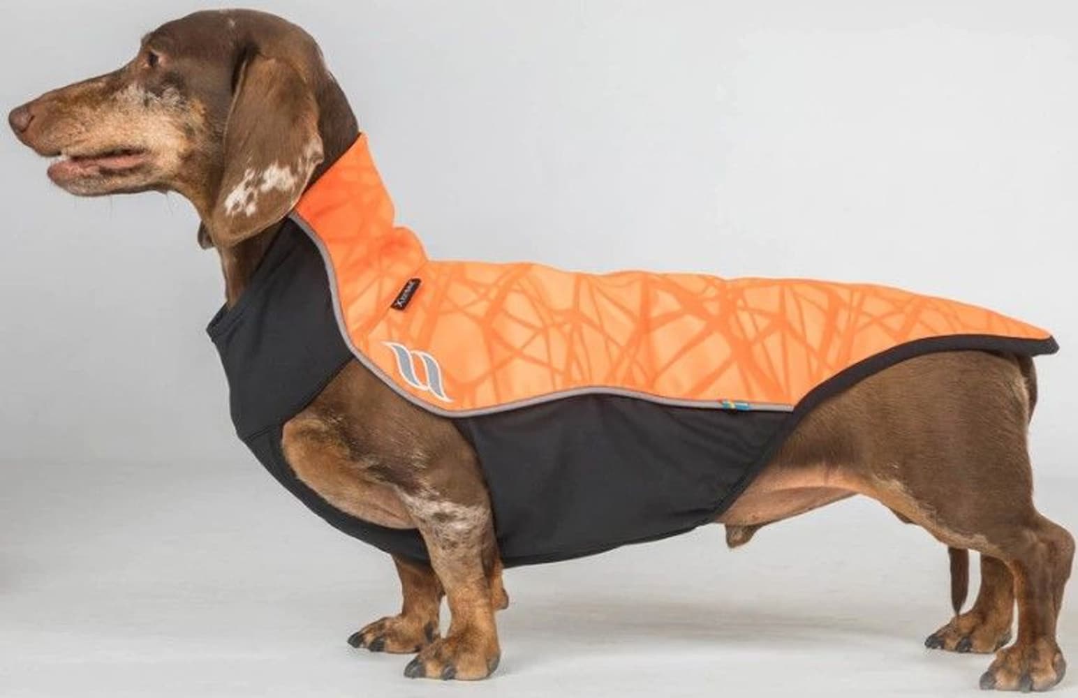 Hundtröja Eddie Småhundar 30-35 cm Orange, view: 1
