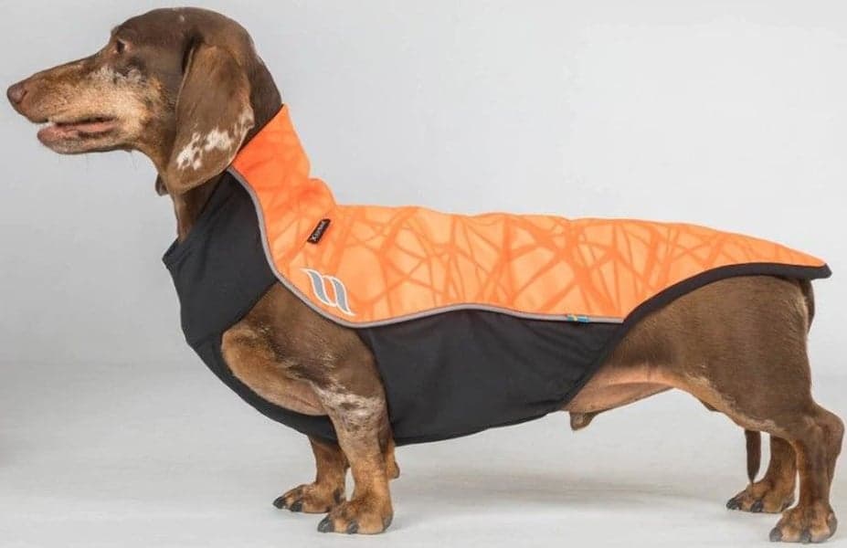 Hundtröja Eddie Småhundar 30-35 cm Orange, view: 1