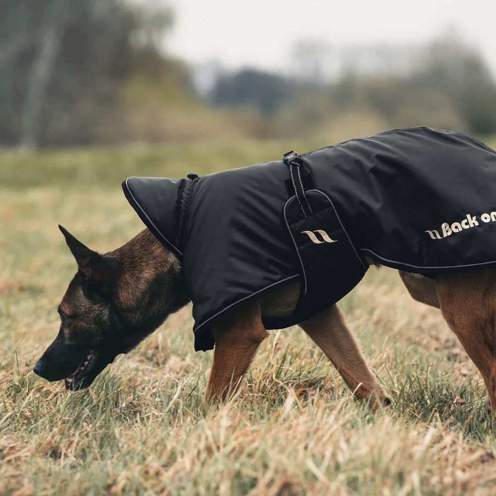 Stanley Hundregntäcke Fodrat 40-50 cm Svart, view: 2