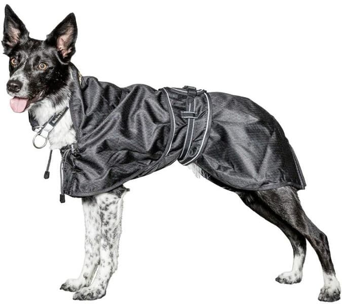 Hundregntäcke utan Stoppning 63-82 cm Svart, view: 1