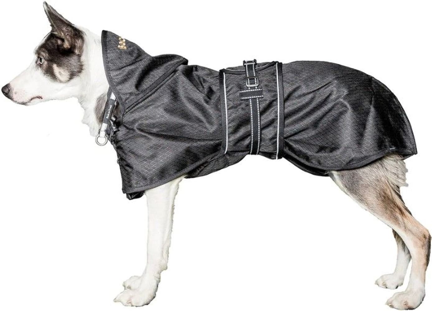 Hundregntäcke utan Stoppning 43-59 cm Svart, view: 2