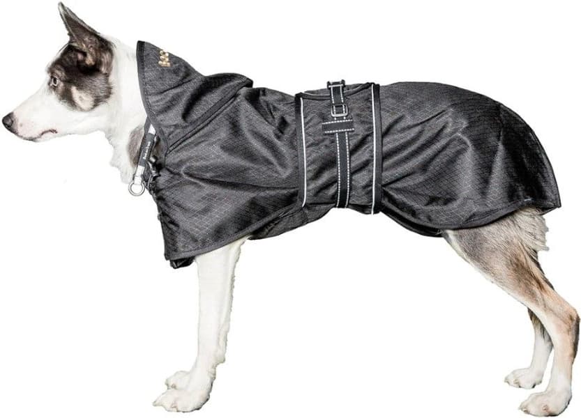 Hundregntäcke utan Stoppning 43-59 cm Svart, view: 2