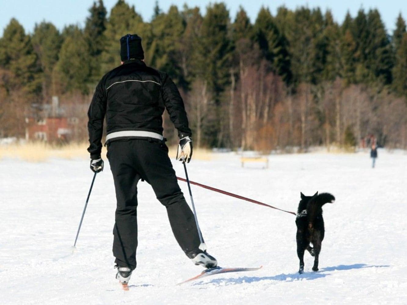 Softbelt Reflex, view: 1