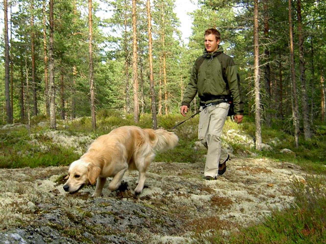 Softbelt Vildmark, view: 3