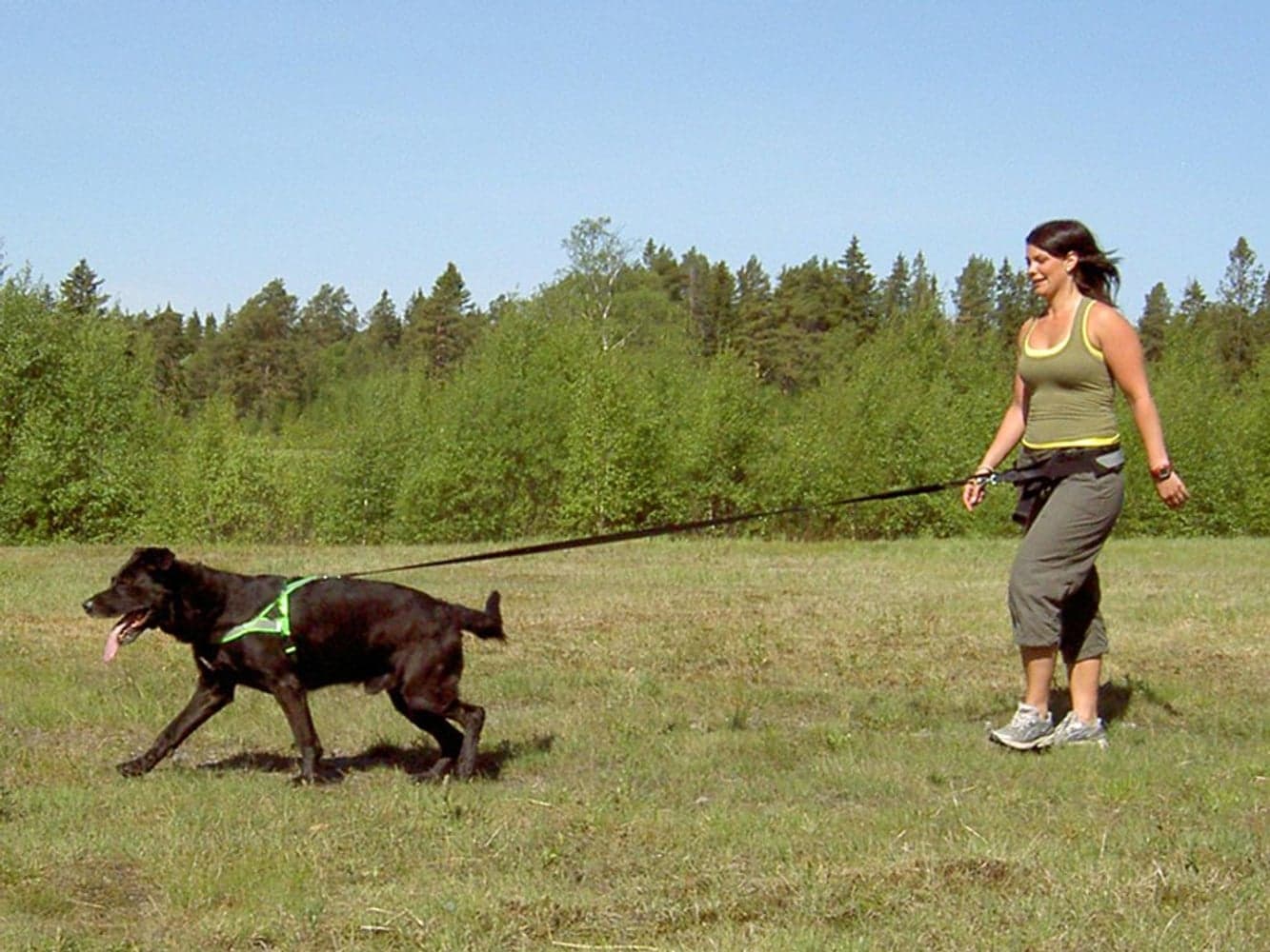 Softbelt Reflex Gul, view: 2