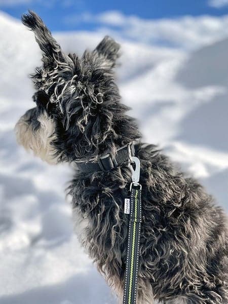 Expanderkoppel Reflex/Antiglid 1,8m BGB, view: 2