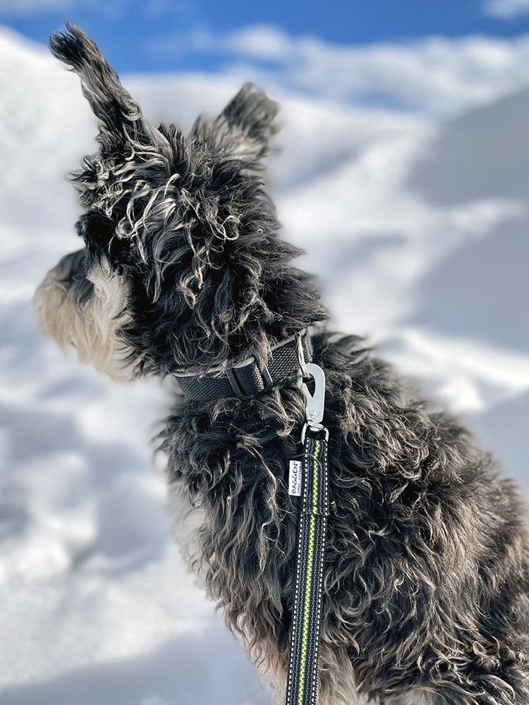 Expanderkoppel Reflex/Antiglid 2,8m BGB, view: 2