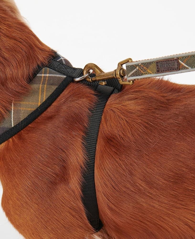 Dog Harness Classic Tartan, view: 5