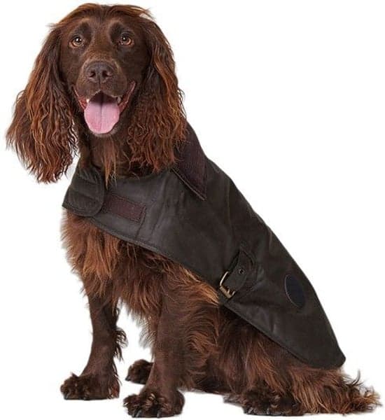 Wax Dog Coat Dark Olive, view: 1