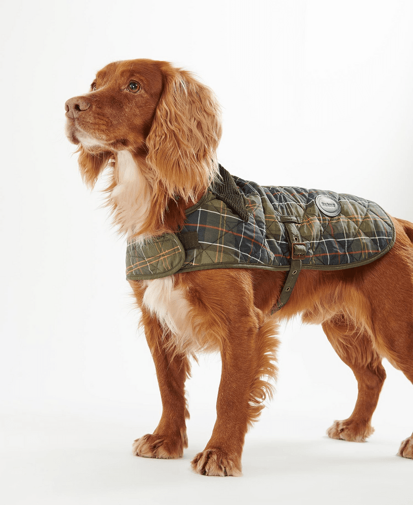 Tartan Dog Coat Classic Tartan, view: 1