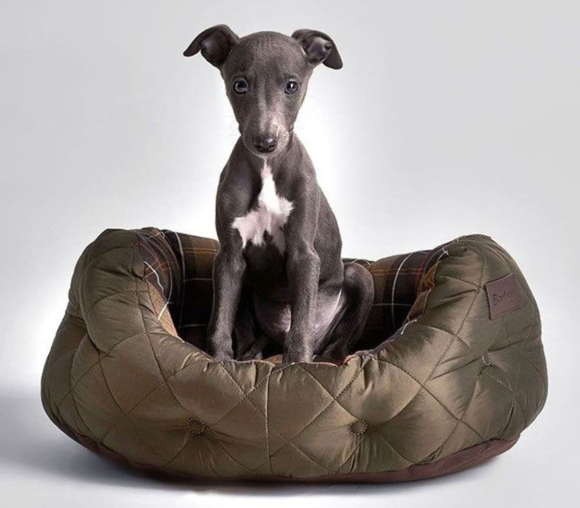 Quilted Dog Bed 18 Olive, view: 0