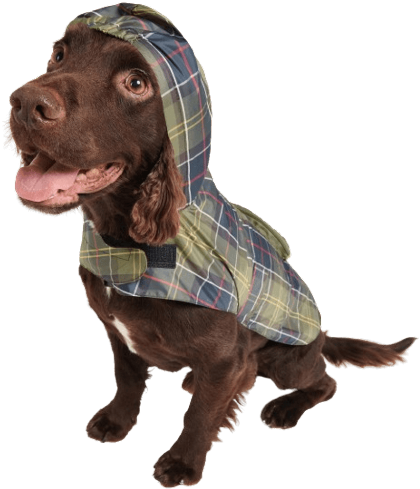 Packable Dog Coat Classic Tartan, view: 5