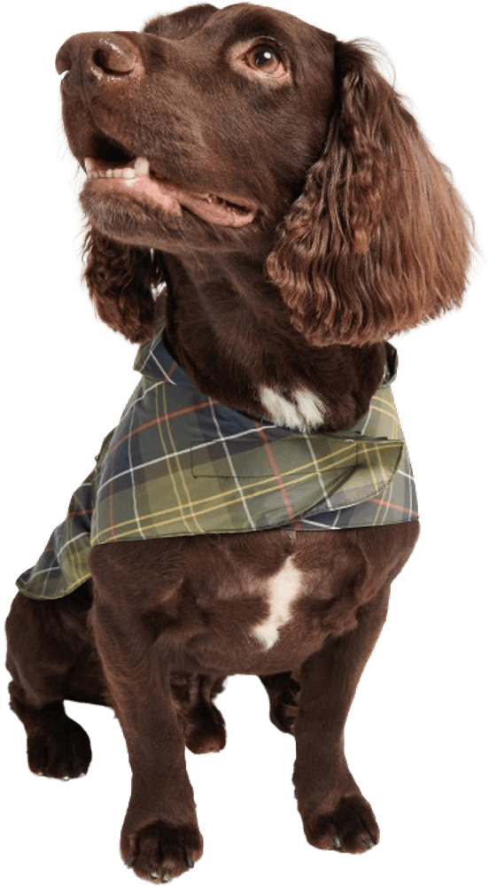 Packable Dog Coat Classic Tartan, view: 3