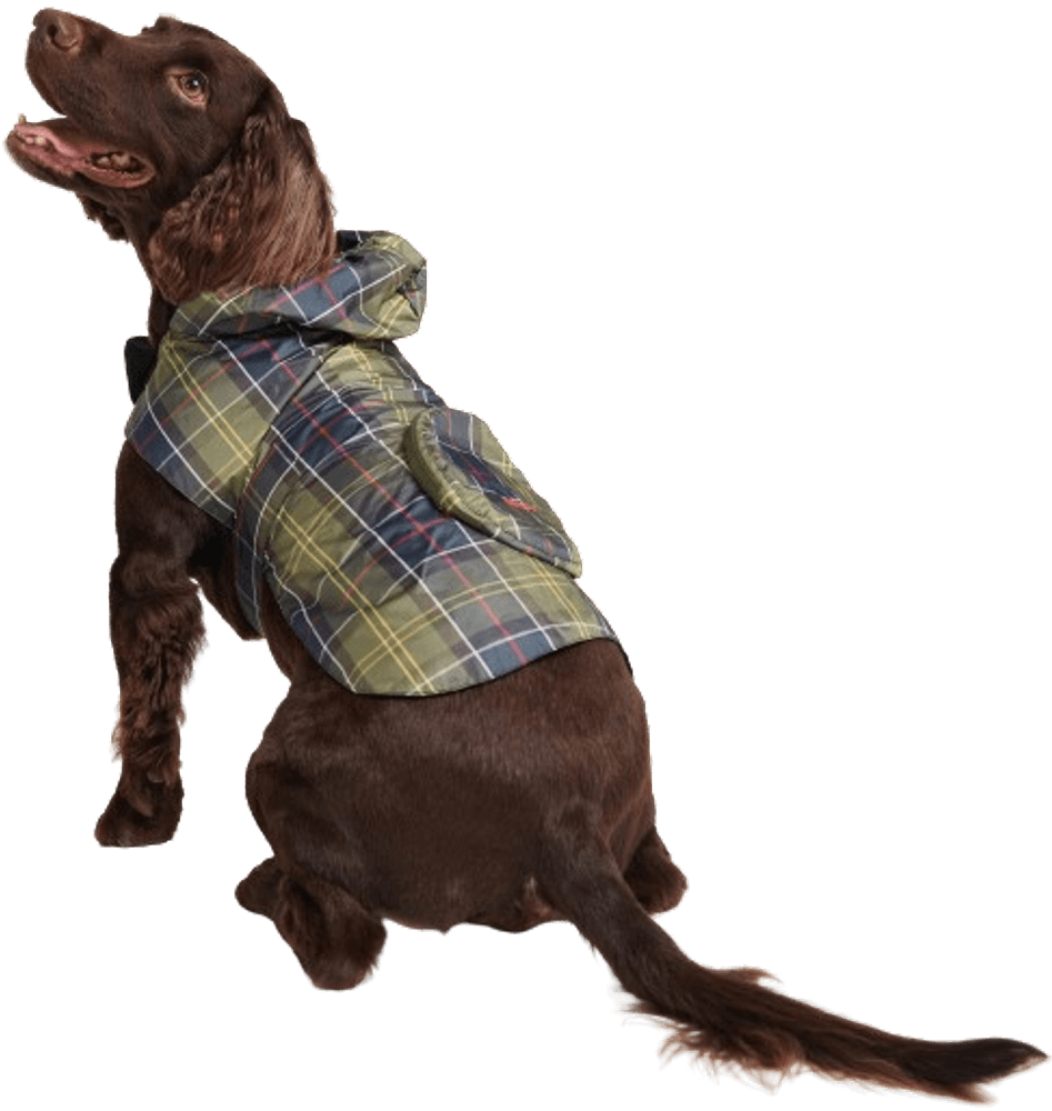 Packable Dog Coat Classic Tartan, view: 4