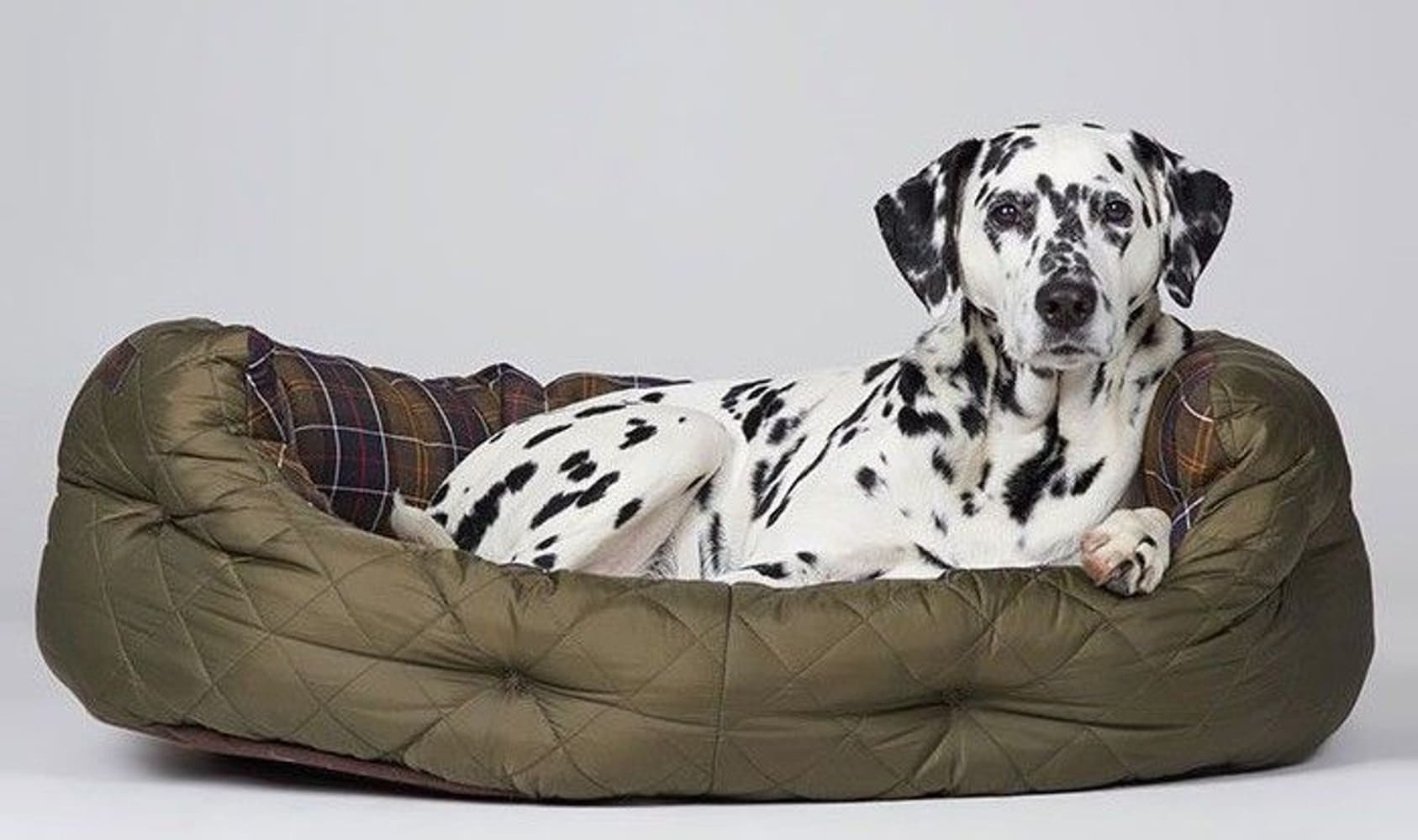 Quilted Dog Bed 35'' Olive, view: 4