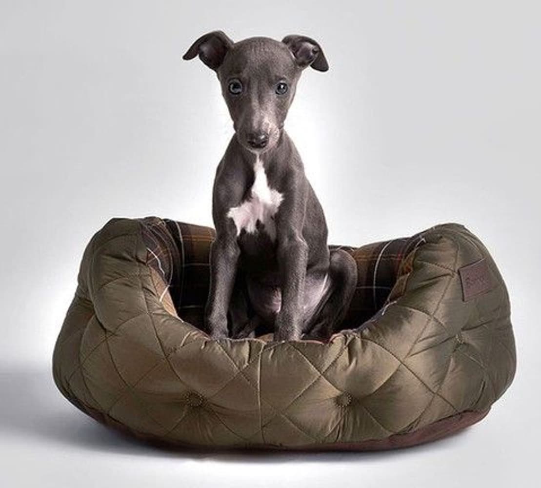 Quilted Dog Bed 18'', view: 1