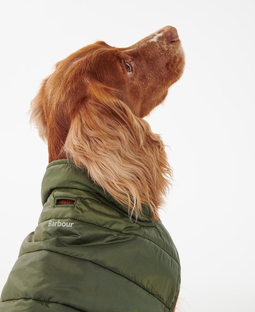 Baffle Quilt Dog Coat Olive, view: 6