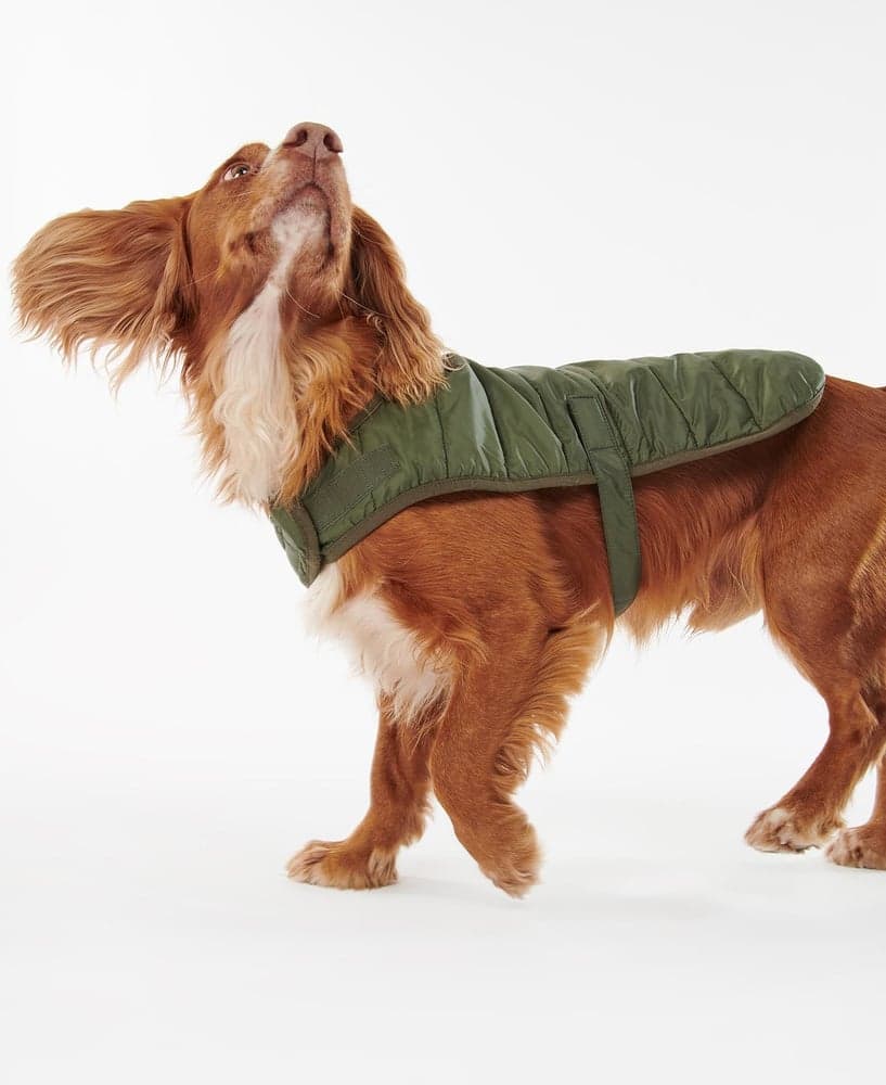 Baffle Quilt Dog Coat Olive, view: 3