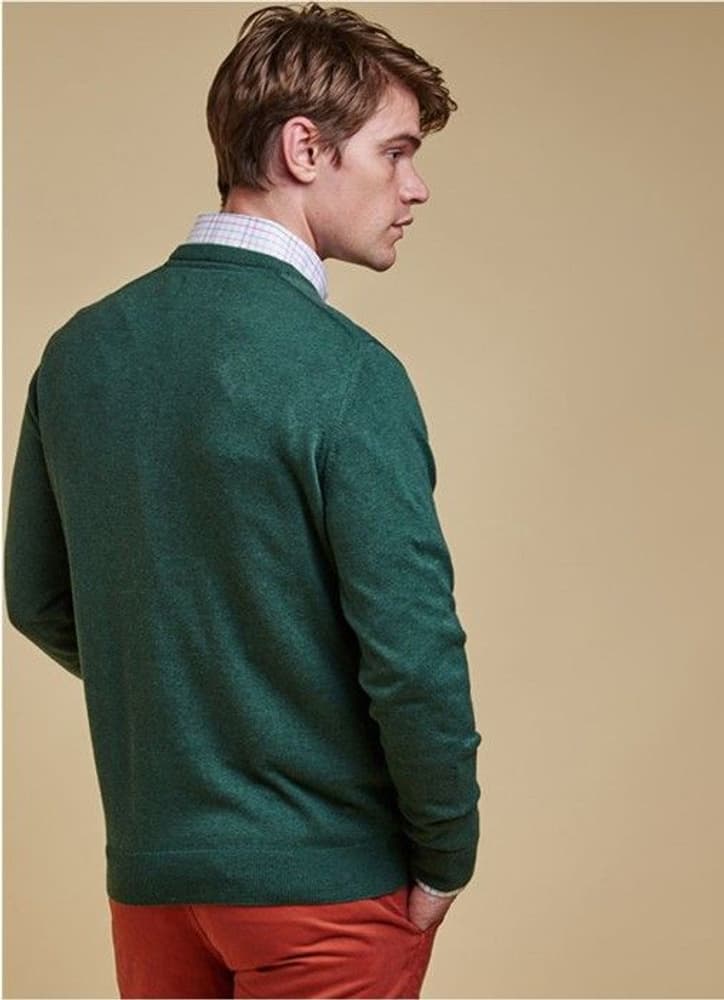 M's Pima Cotton V-neck Racing Green, view: 1