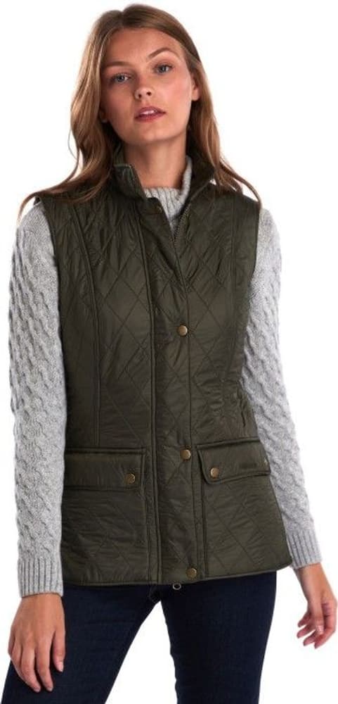 W's Wray Polarquilt Gilet Olive, view: 1
