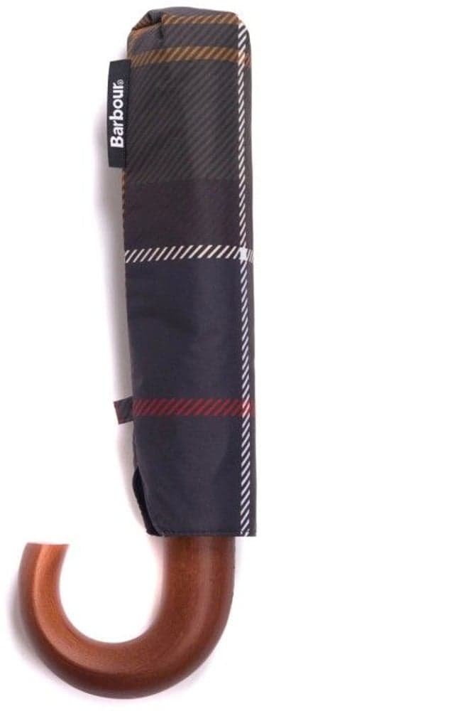 Tartan Mini Umbrella Classic Classic, view: 1