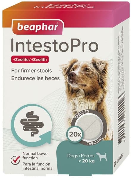 IntestoPro hund >20 kg 20 tabletter, view: 0