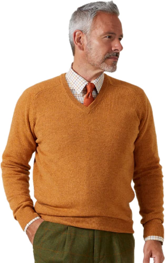 Streetly V-Neck Pullover Bordeaux, view: 3