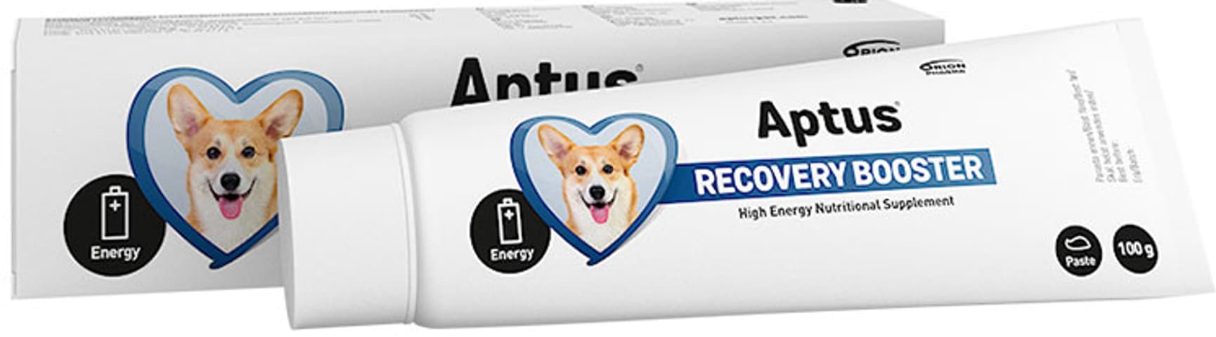 Recovery Booster Dog 100g, view: 0