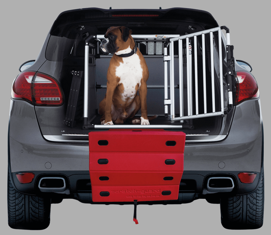 Scratch-Guard Pro, view: 3