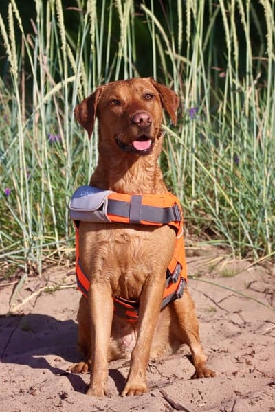 Life Jacket M-L, view: 2