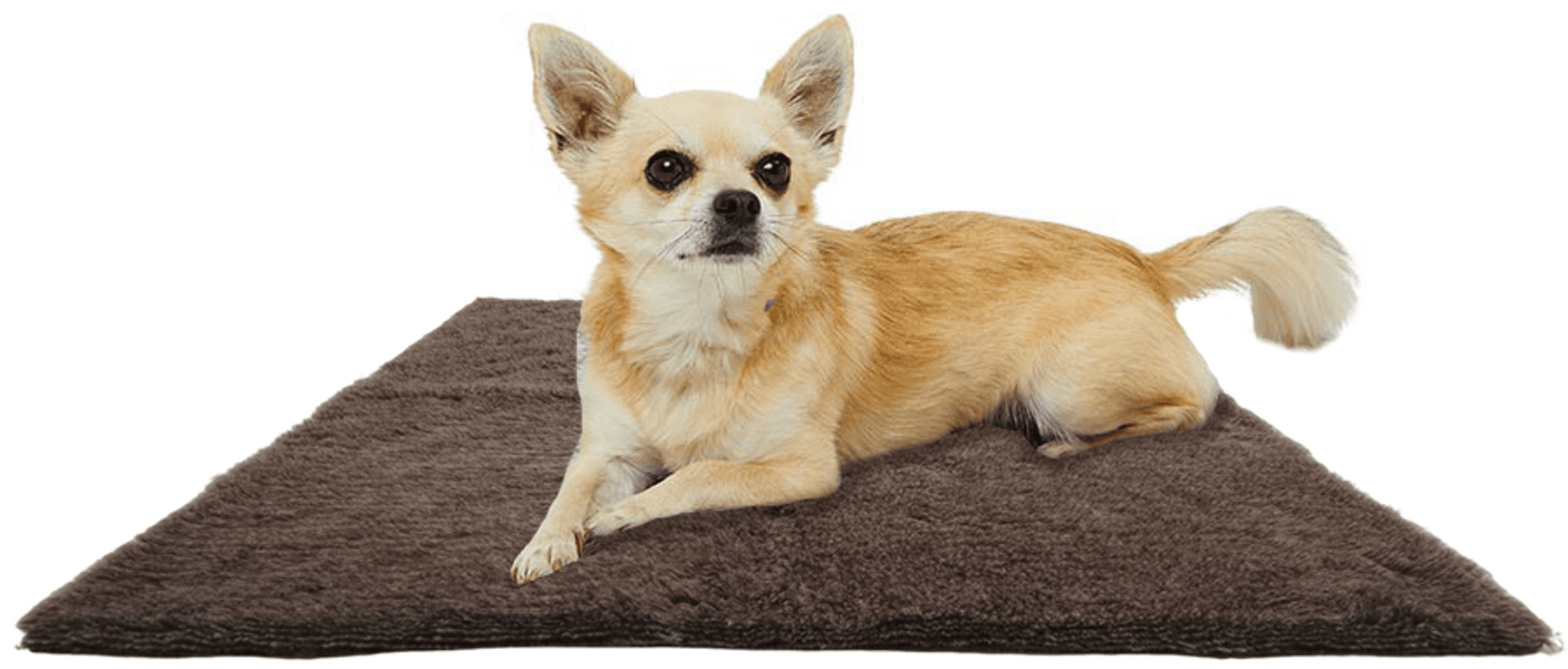 Vetbed 75x60 cm Small Brown, view: 3