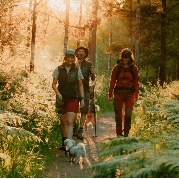 W's Flok Wool Pile Vest Forest Green, view: 4