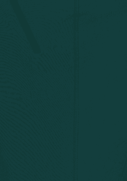 Incline AS Wmns Sagano Green, view: 2