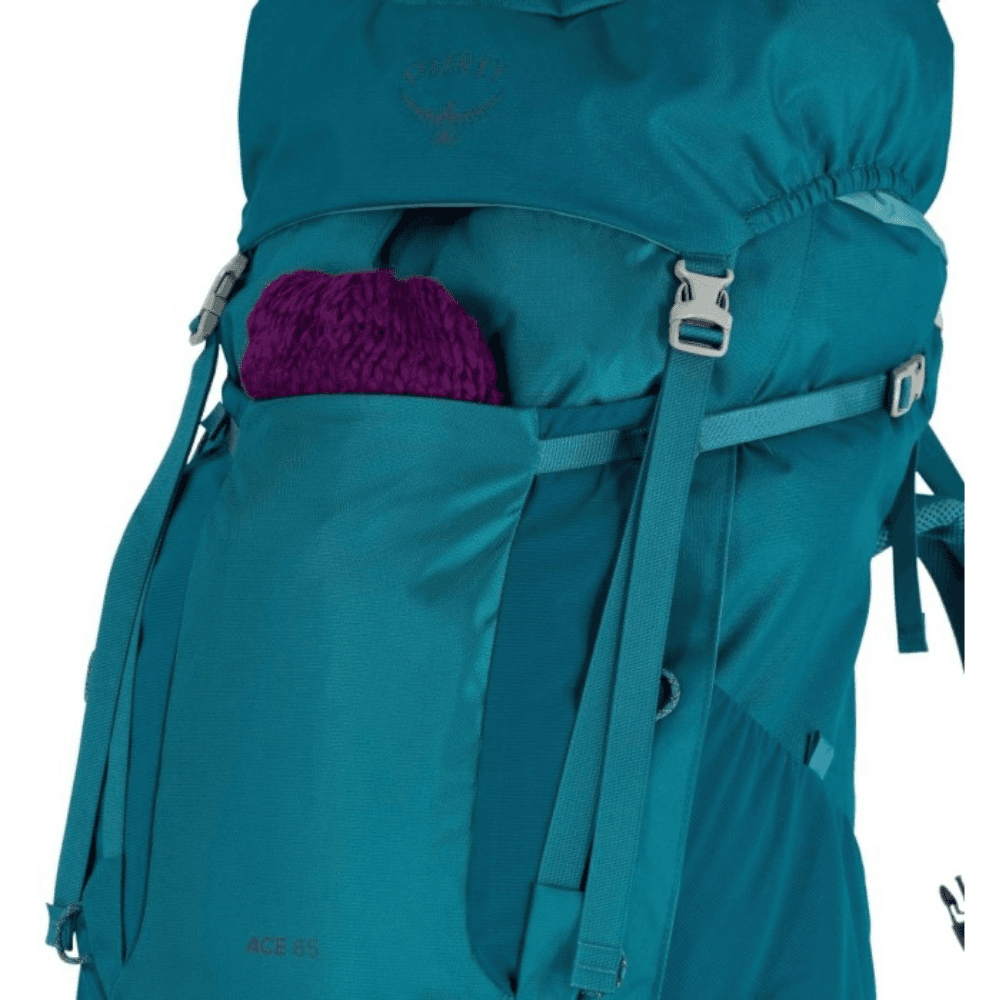 Ace 65L Blue Spikemoss/Deep Peyto, view: 9
