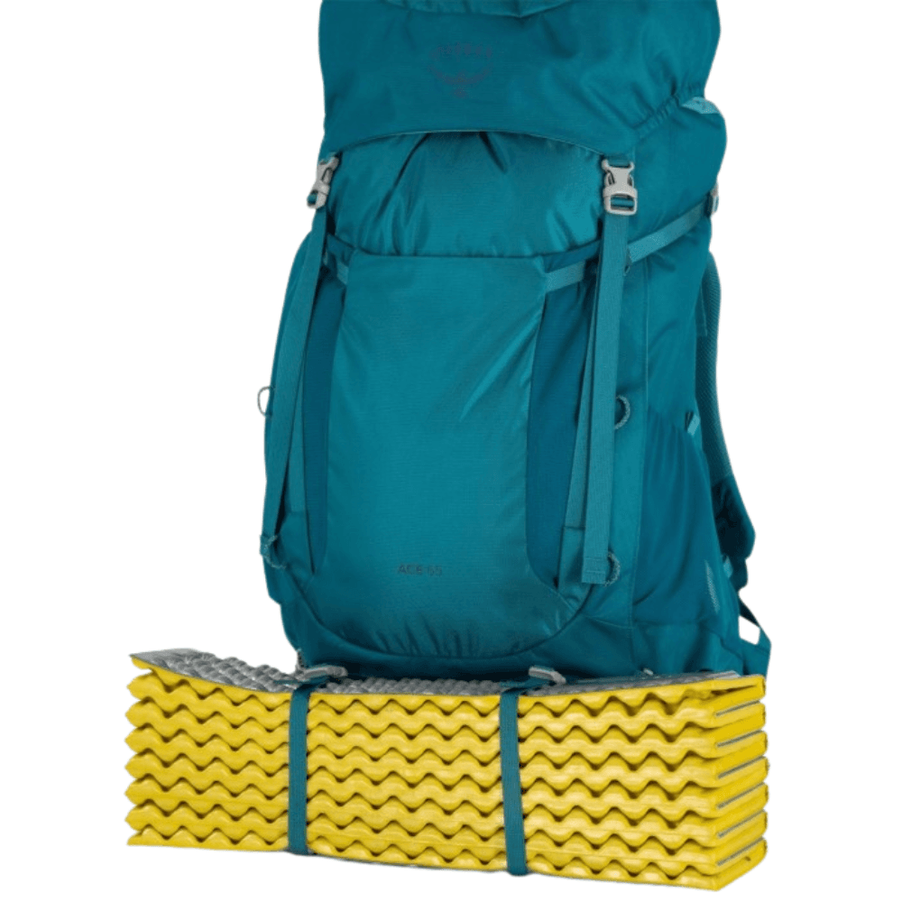 Ace 65L Blue Spikemoss/Deep Peyto, view: 4