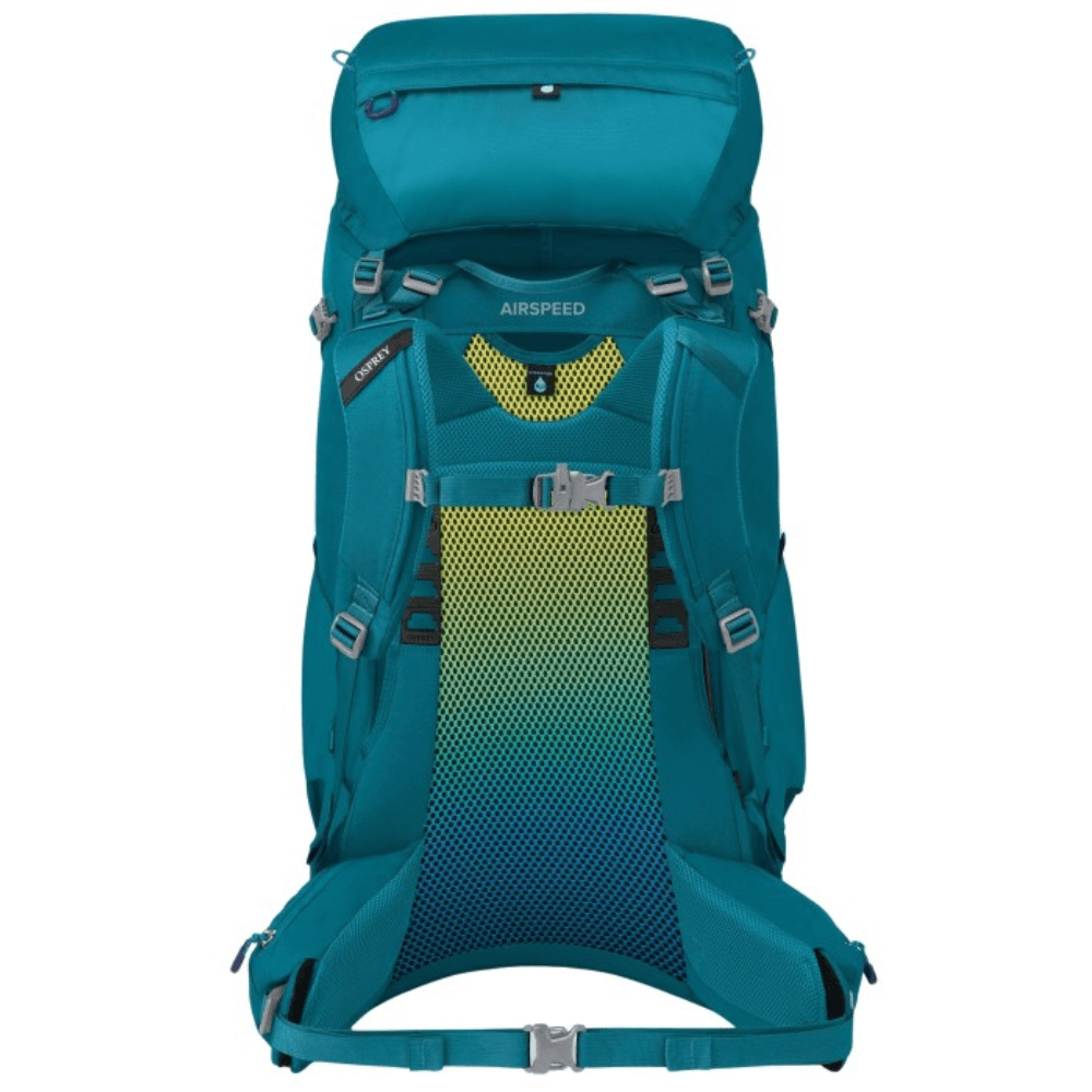 Ace 65L Blue Spikemoss/Deep Peyto, view: 2