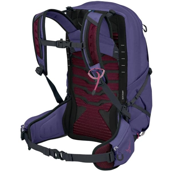 W's Tempest 22L Deep Fig/Hotspot Pink, view: 2