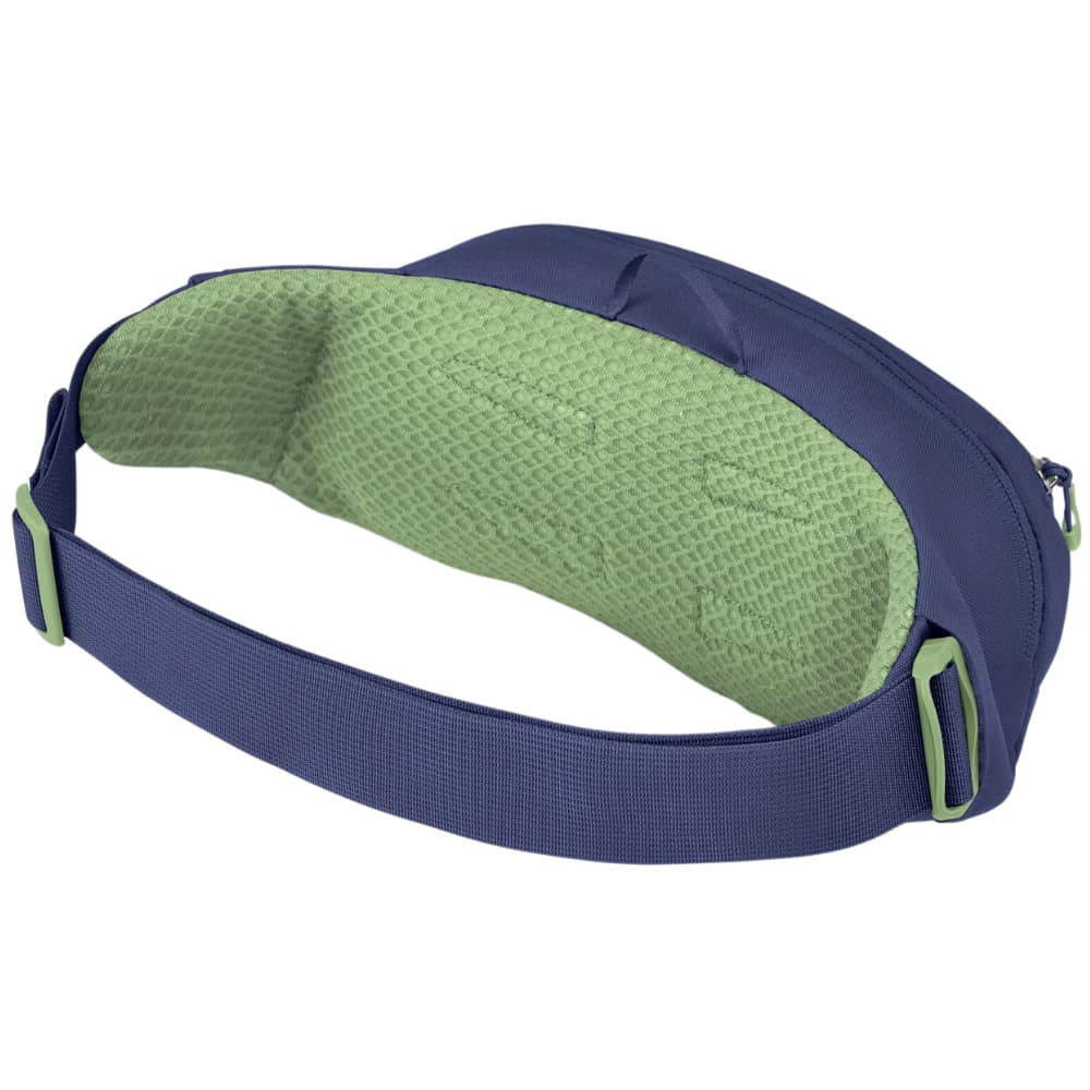 Daylite Waist Pack 2L Blue Spikemoss/Alkaline, view: 2