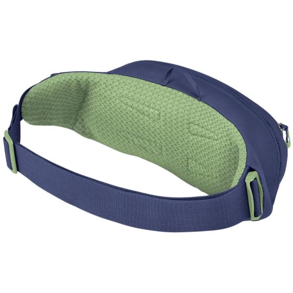 Daylite Waist Pack 2L Blue Spikemoss/Alkaline, view: 2