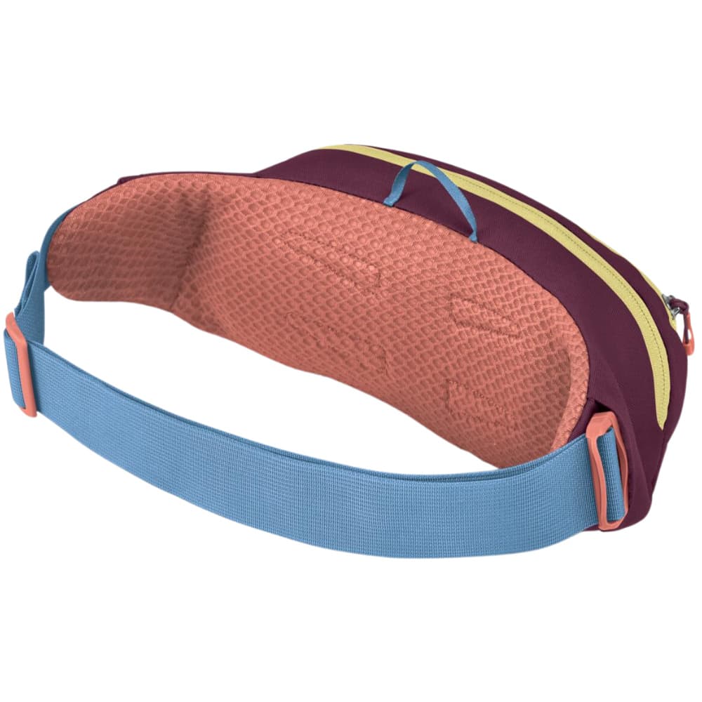 Daylite Waist Pack 2L Moody Burgundy, view: 2