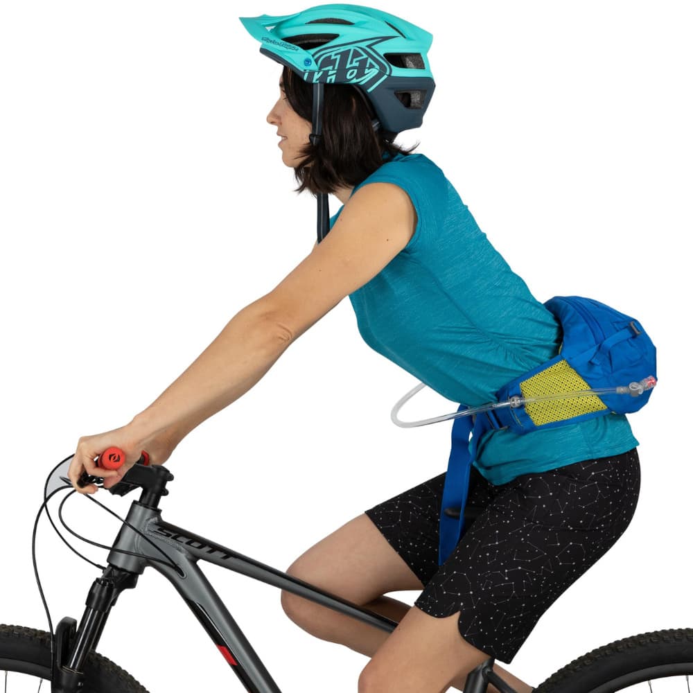 Seral 4 Postal Blue, view: 11