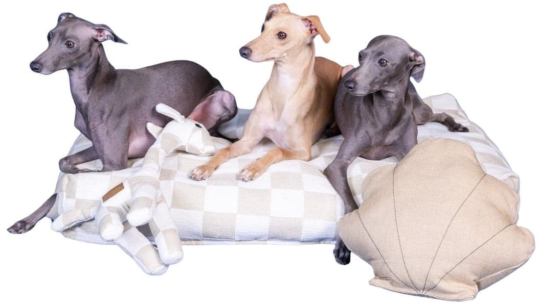 Seashell Toy, view: 3