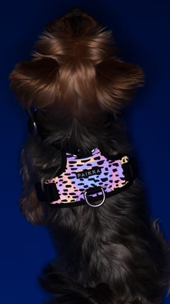 Paikka Harness 2.0, view: 3