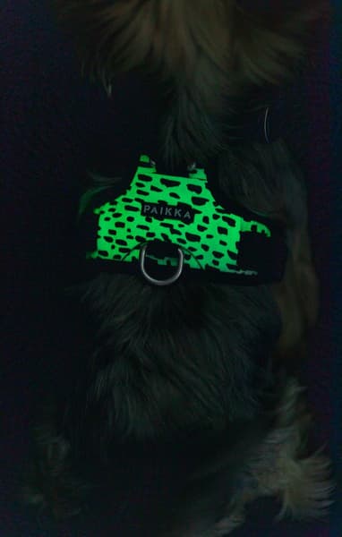 Paikka Harness 2.0, view: 4