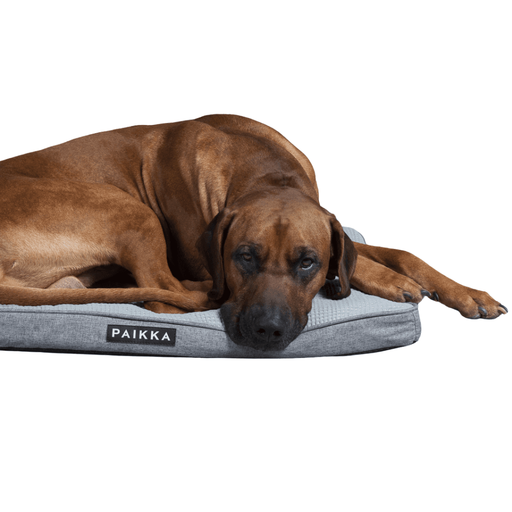 Cooling Orthopedic Mattress Grey 100 cm, view: 1