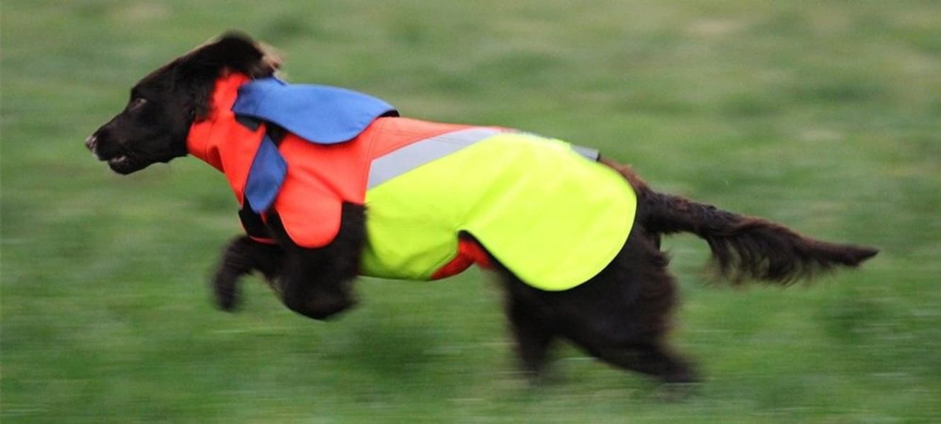 Tuskproof M, view: 1