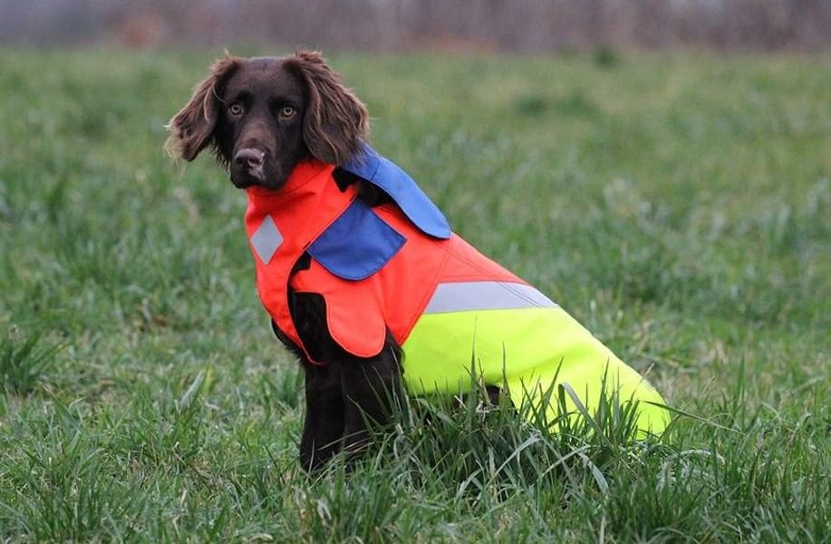 Tuskproof M, view: 0